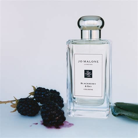 blackberry and bay perfume dupe|Perfumes Similar To Blackberry And Bay – Sage Datum.